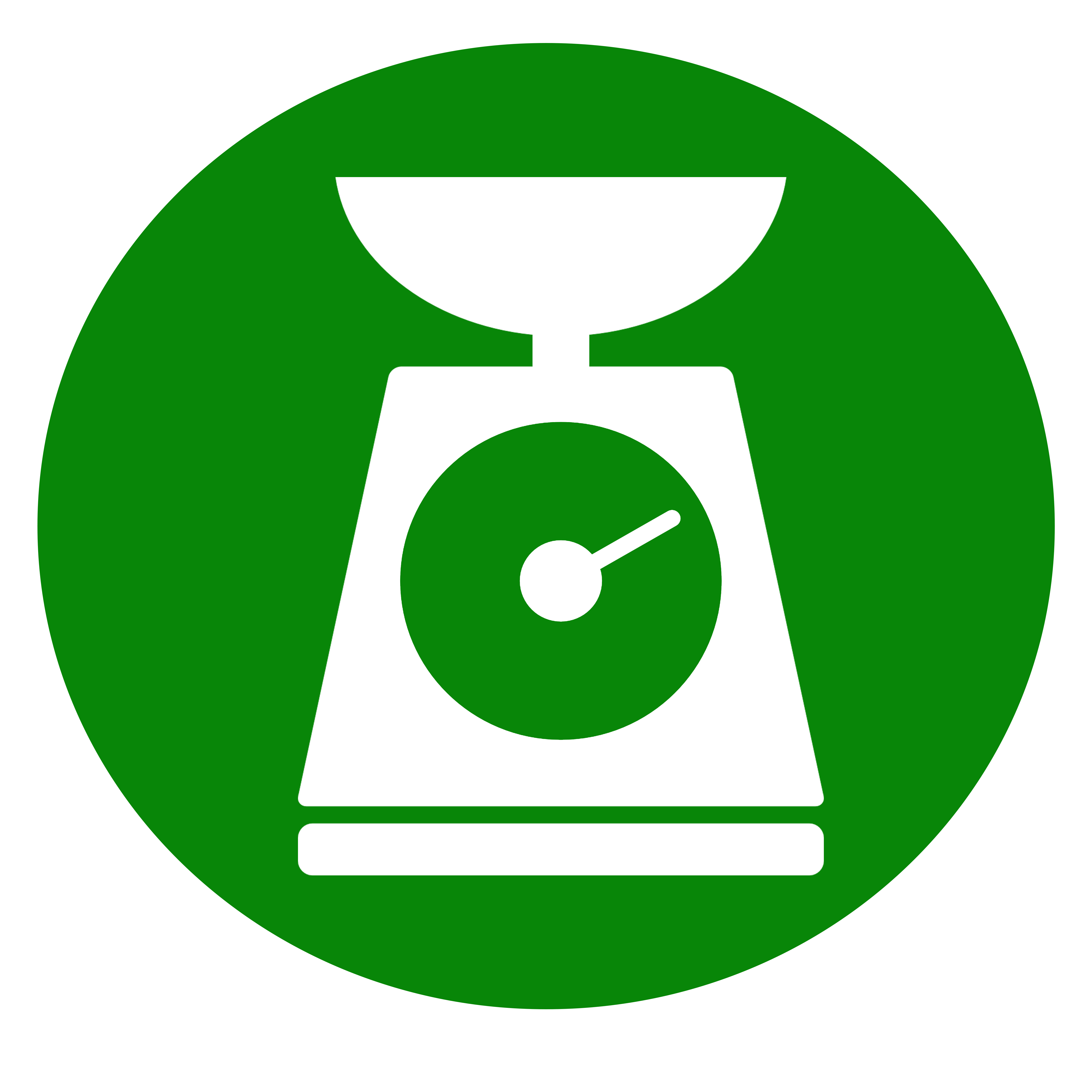 scale icon